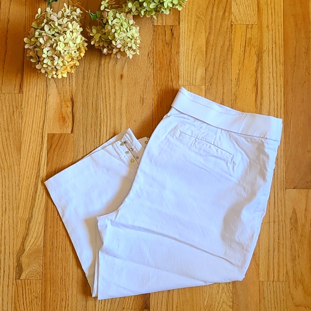 Briggs Stretch Pull-On Capris